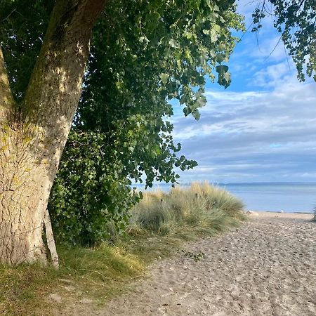 Feriendorf Suedstrand Haus 09 Pelzerhaken Kültér fotó